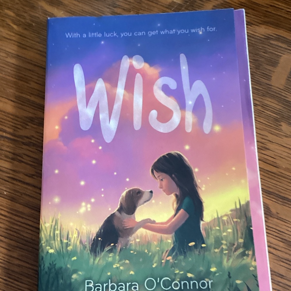 Wish by Barbara O'Connor - Purple & Pink Illustrated Hardcover